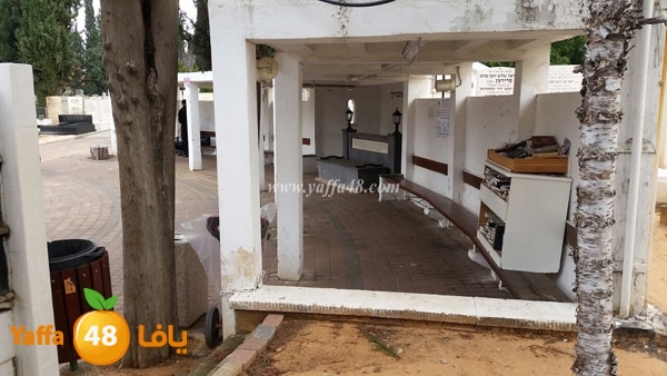 tasoo yahood mabar (5).JPG